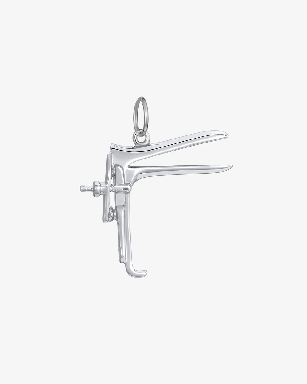 Speculum Pendant Charm